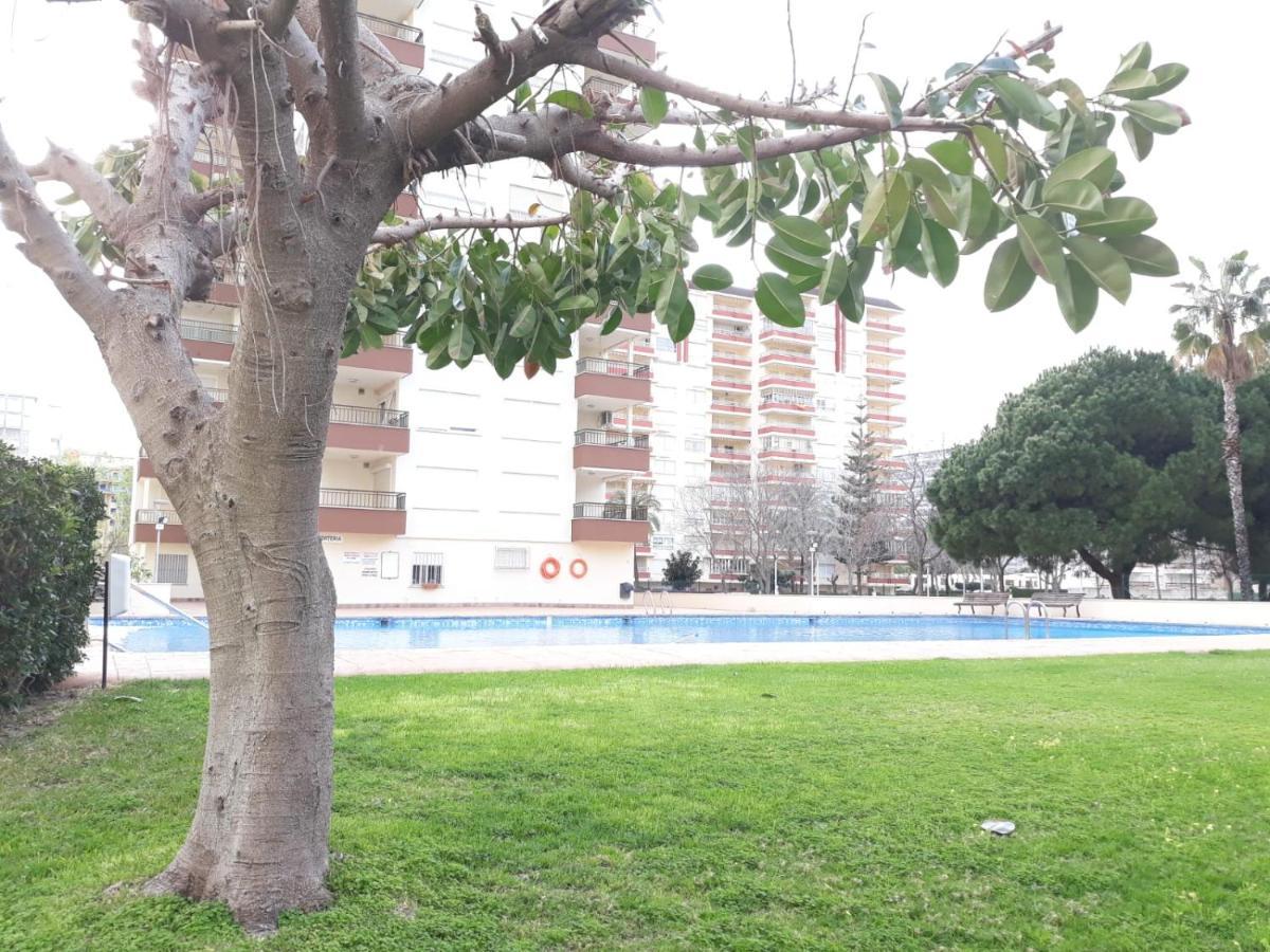 Valldigna 7 Playa De Gandia Solo Familias Buitenkant foto